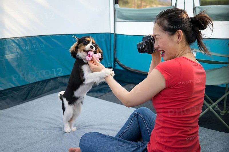 A joyful asian woman takes pictures of her playful Cavalier King Charles Spaniel inside a cozy tent, capturing the perfect moment during their camping adventure together