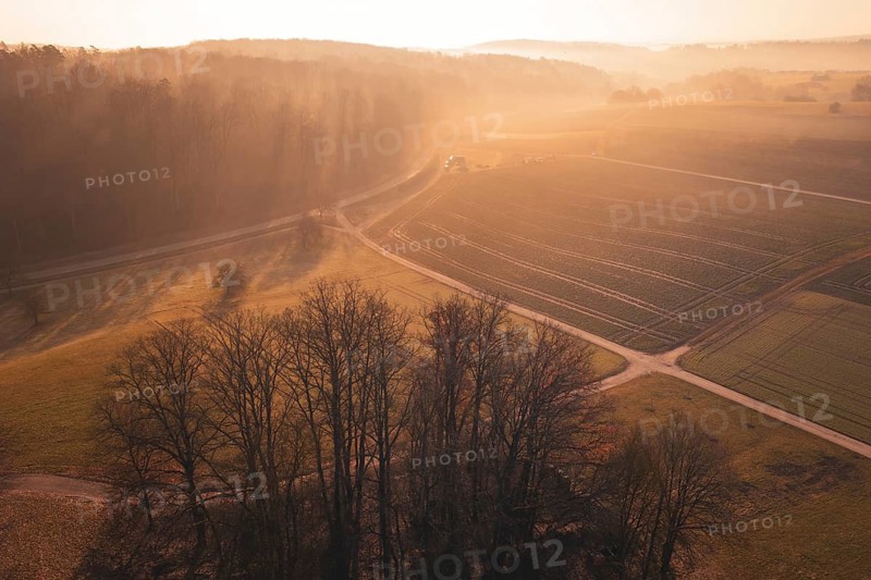 A rural road runs through foggy fields in the morning sun, Gechingen, Calw district, Germany