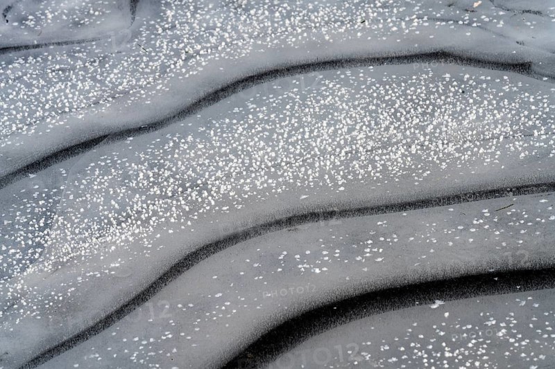 Frozen puddles