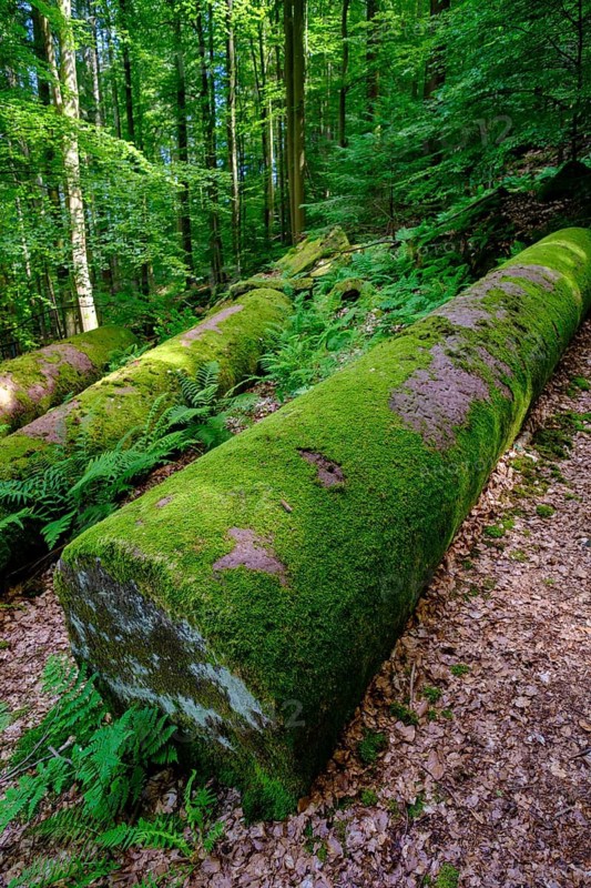 Hay columns, Mainbullau near Miltenberg, Odenwald, Lower Franconia, Franconia, Bavaria, Germany