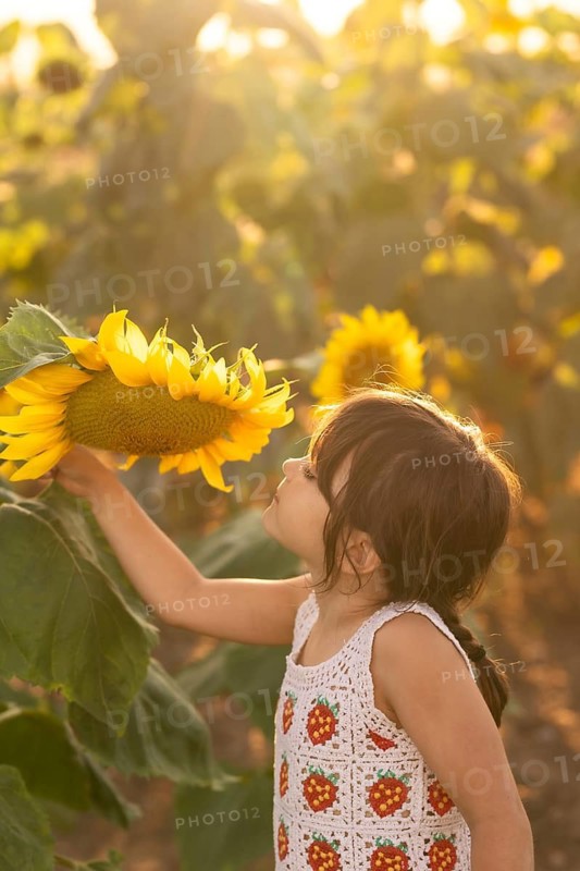 A young girl in a white dress with strawberry patterns admires a large sunflower in a sunny field. The golden light enhances the serene summer atmosphere