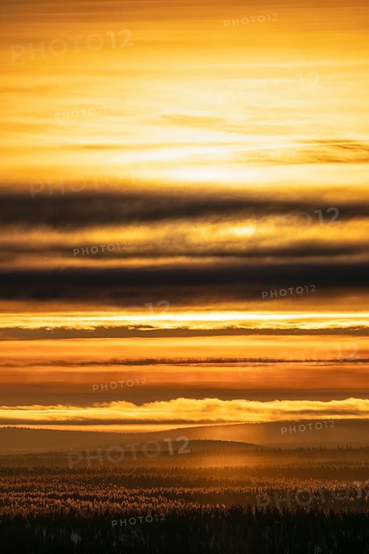 Backlight over vast forest area, Saariselkä, Lapland, Finland, January 2025