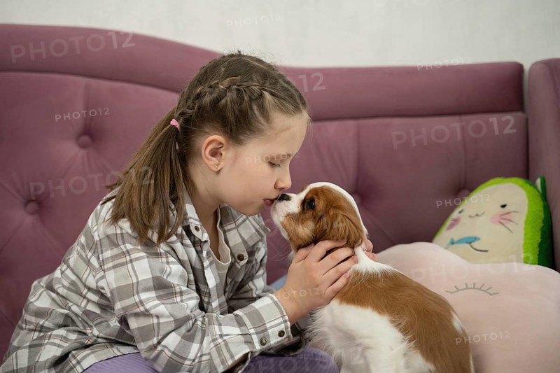 A young girl gently holds a puppy as they share a tender moment on a cozy couch at home. The warm atmosphere reflects the joy of friendship and the simple pleasures of life