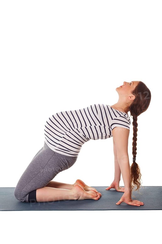 Pregnancy yoga exercise, pregnant woman doing yoga asana Ustrasana Camel Pose isolated on white background