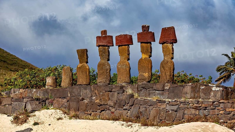 Row of Moai statues, cloudy sky and palm trees on Easter Island convey historic atmosphere, the Moai statues on Easter Island in the Pacific Ocean