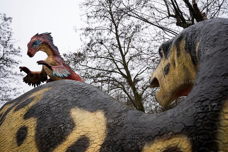 Model of a small feathered dinosaur, possibly Deinonychus (Deinonychus), perched on the back of a larger dinosaur in an educational paleo park in LUBIN, POLAND
