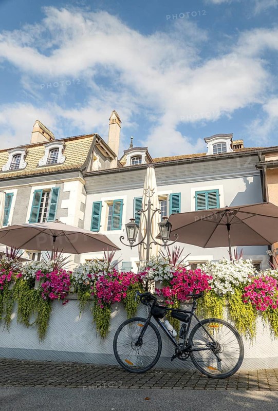 A picturesque scene captures a bicycle resting against a beautifully flower-adorned wall beneath historic buildings and parasols, showcasing a charming European urban spring landscape