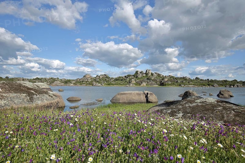 Rocky landscape and seascape with flower meadow, rock formations, stones, lakeside, clouds, Los Barruecos, Malpartida de Caceres, Caceres, Extremadura, Spain