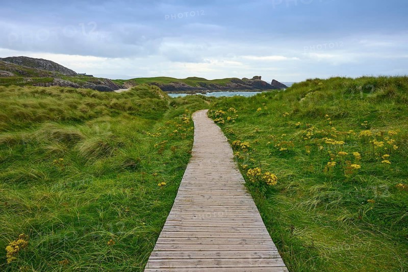 A wooden path snakes through tall grasses towards the sea, stormy clouds above, Clachtoll, Lairg, Scotland, United Kingdom, Great Britain