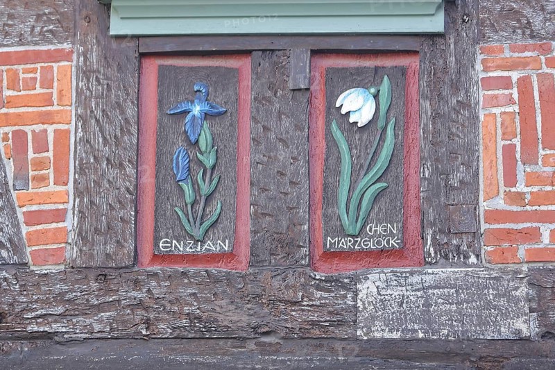 Wood carvings with gentian and fairy tale cup, flower figures, historic half-timbered house, handicrafts, painting, brick house, inscription, Babenhausen, Hesse, Germany