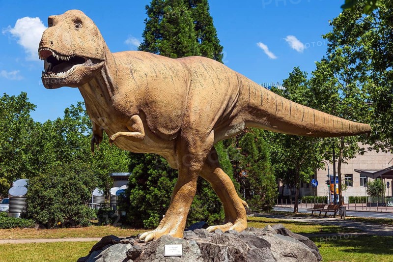 Dinosaur, dinosaur Tyrannosaurus rex in front of the Senckenberg Museum in Frankfurt am Main