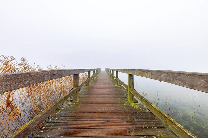 Wooden jetty at Lake Ratzeburg, Ratzeburger See in the mist, Lauenburg Lakes Nature Park, Naturpark Lauenburgische Seen, Schleswig-Holstein, Germany