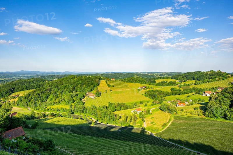 Landscape of the wine yards growing on the hills of southern styria, Austria