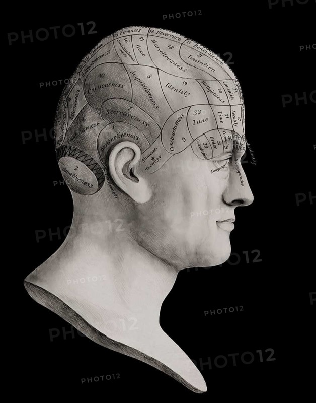 Head with divisions of the organs of phrenology, after Dr. Johann Gaspar Spurzheim, 1776 – 1832, German physician and phrenologist