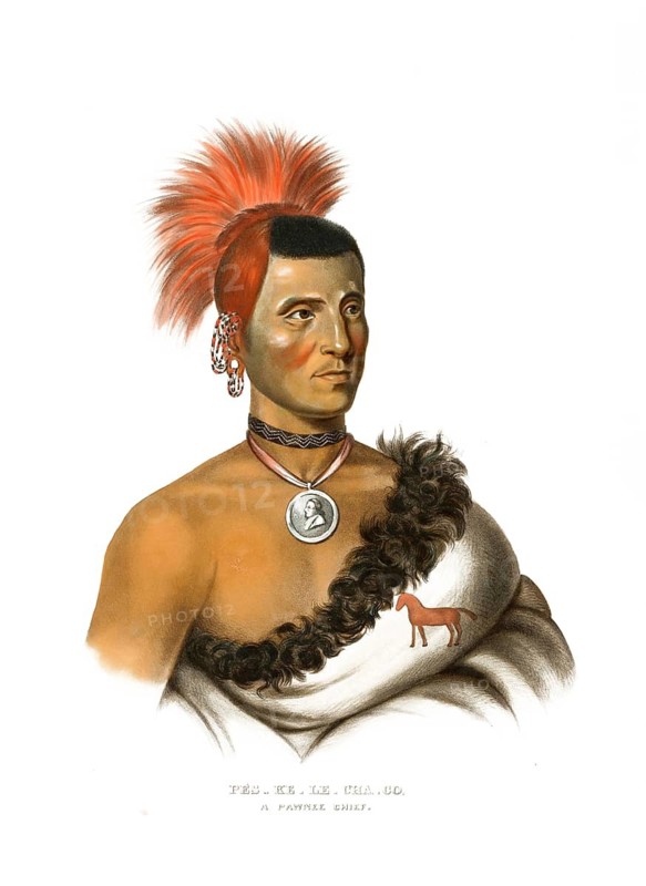 American Indian, Native American, Pes-Ke-Le-Cha-Co, Chief of the Pawnee tribe, United States of America, USA, Painting by Charles Bird King (1785, 1862), c. 1840, Historical, digitally restored reproduction from a 19th century original, Record date not stated