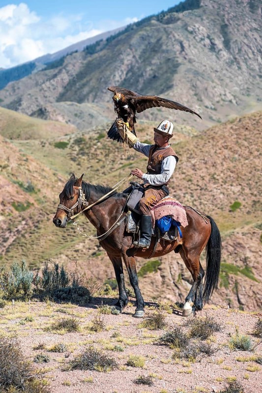 Traditional Kyrgyz eagle hunter with eagle in the mountains, hunting on horseback in front of dry landscape, near Kysyl-Suu, Issyk Kul, Kyrgyzstan