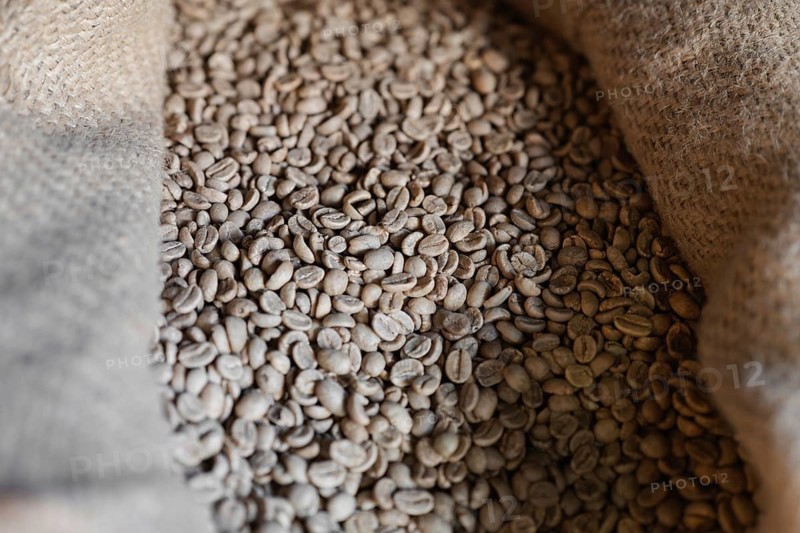 A close-up view of unroasted coffee beans nestled in a burlap sack, showcasing the raw materials used in the artisanal coffee roasting process within a specialty coffee shop