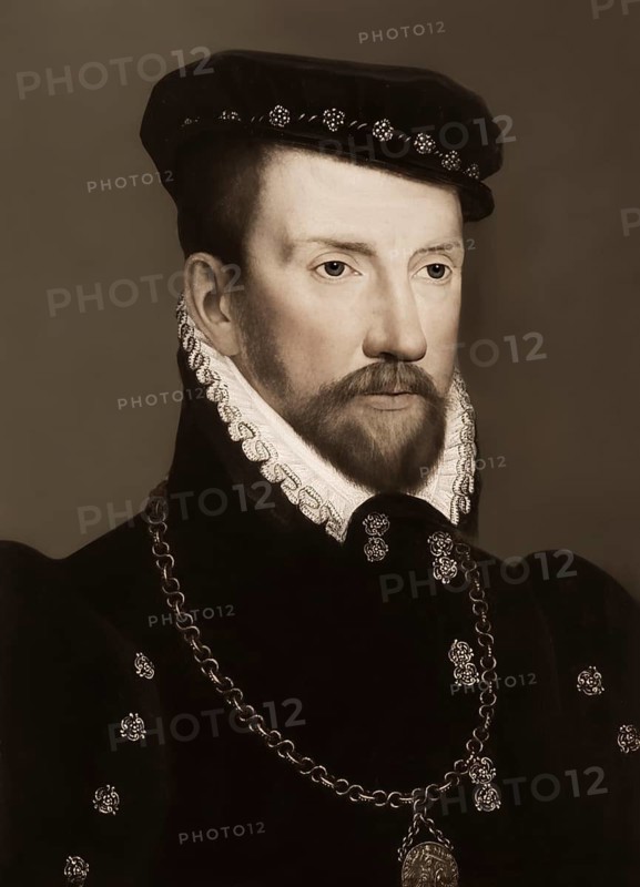 Gaspard II de Coligny, Comte de Coligny, 1519, 1572, a French Huguenot leader, digitally edited according to a painting by François Dubois