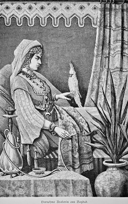 Noble Arab woman from Baghdad, portrait of a young woman on a canapé seat and reclining furniture, serious look, elegant traditional clothing, valuable jewellery, headdress, necklace, belt, headscarf, blouse, sofa, side table with shisha or sheesha water pipe, Orient, drug, consumption, smoking, health, tame parrot on hand, plant in pot, curtain raised, room, historical illustration, Iraq, 19th century woman