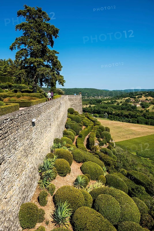 Boxwood garden, Les Jardins de Marqueyssac, Vezac, Dordogne, Périgord, Département Dordogne, Region Nouvelle-Aquitaine, France