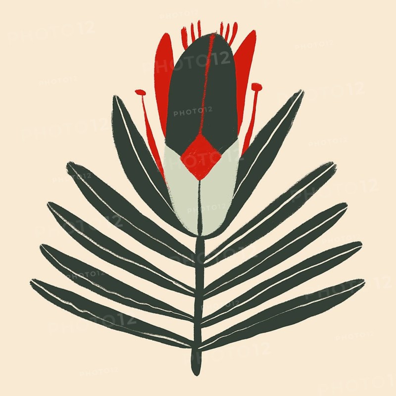 A uniquely stylized abstract floral illustration featuring bold red, green, and black colors on a soft beige background