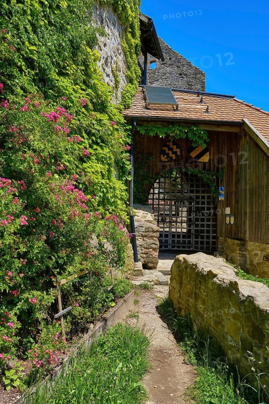 Gate area of the medieval castle ruins of Sulzberg in the Allgäu near Kempten, Bavaria, Germany