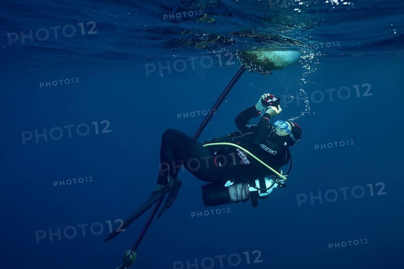 Diver photographs the growth of a buoy under the water surface, Giens Peninsula dive site, Mediterranean, Porquerolles, Provence, Côte d'Azur, France