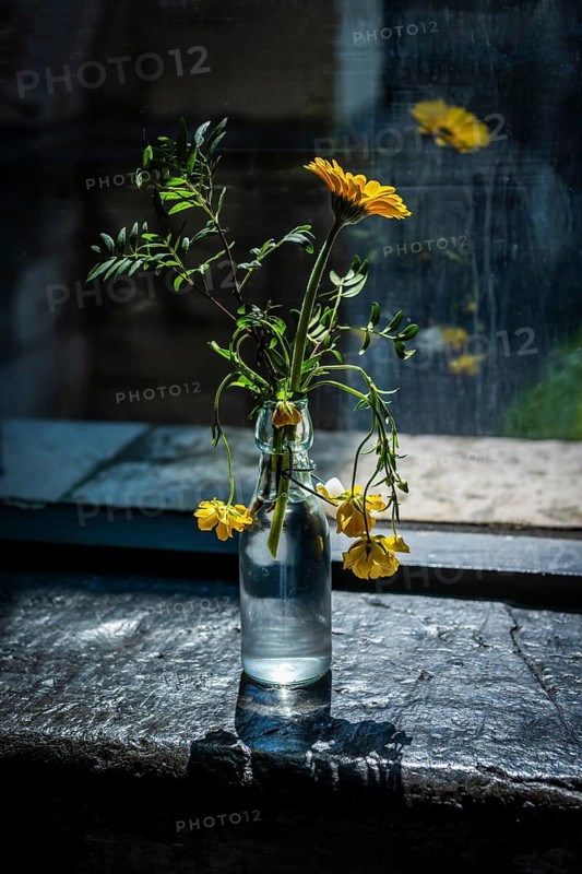 Yellow flowers in a bottle, illuminated by reflected light on a windowsill