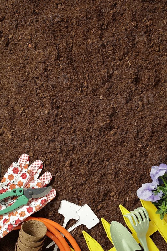 Rustic gardening scene with essential tools on rich soil. Features colorful gloves, pruning shears, labels, and delicate purple flowers, perfect for springtime