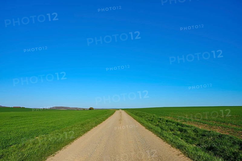 Straight dirt road between lush green areas and a light blue sky, Ergersheim, Neustadt an der Aisch-Bad Windsheim district, Middle Franconia, Bavaria, Germany