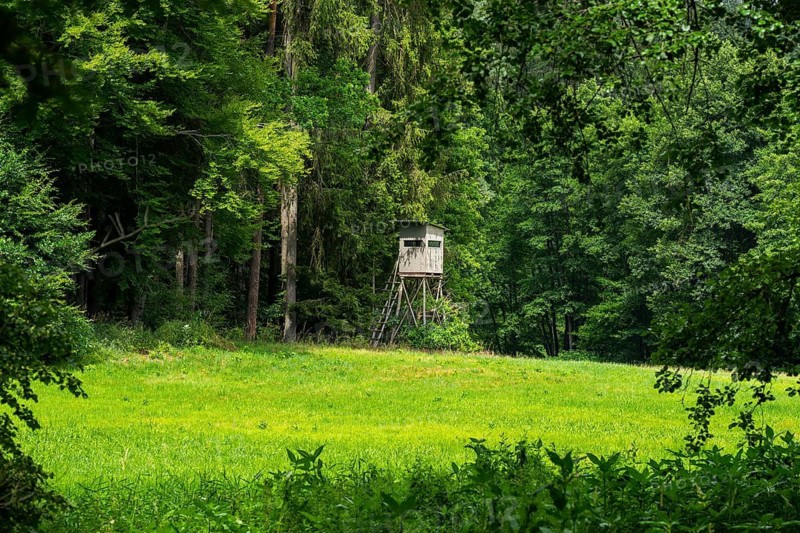 Hunters blind standing next to a forest on the edge of a meadow, Bavaria, Germany