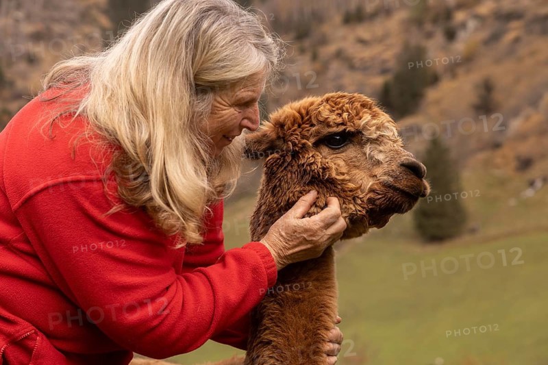 An elderly woman gently pets and cares for a brown alpaca in the scenic Austrian countryside, showcasing a moment of affection and companionship between human and animal