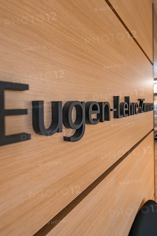 Close-up of a wooden wall with the lettering 'Eugen-Lehre-Zimmer' in a modern interior, Nagold Town Hall, Black Forest, Germany