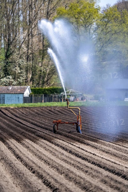 Artificial irrigation of a potato field in April, with a sprinkler system, long drought in spring makes this necessary, for the total of 7.5 hectares 3 full days are needed to get the necessary moisture for the freshly sown potato plants, south of Straelen, Lower Rhine, North Rhine-Westphalia, Germany