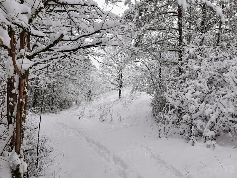 Snow-covered forest trail with a slight climb and surrounded by trees, Franconian Forest nature park Park