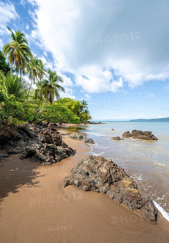 Tropical beach, South Pacific, Osa Peninsula, Punterenas Province, Costa Rica