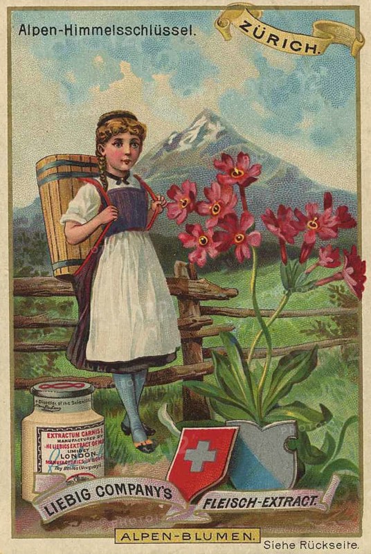 Picture series Alpine flowers, Alpine sky key in Zurich, Switzerland, Liebig picture, digitally restored reproduction of a collector's picture from around 1900, public domain, exact date unknown, girl in traditional traditional costume with Alpine sky key and mountain panorama