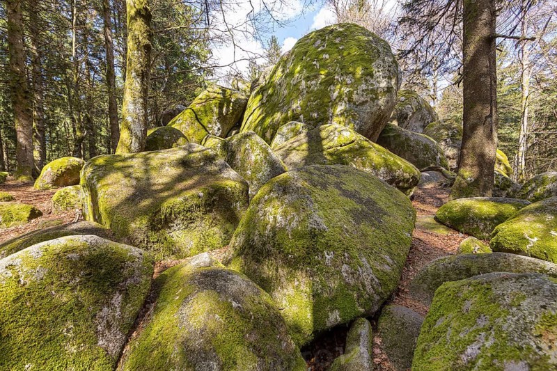 Granite rock Günterfelsen near the source of the Danube, Furtwangen in the Black Forest, Baden-Württemberg, Germany