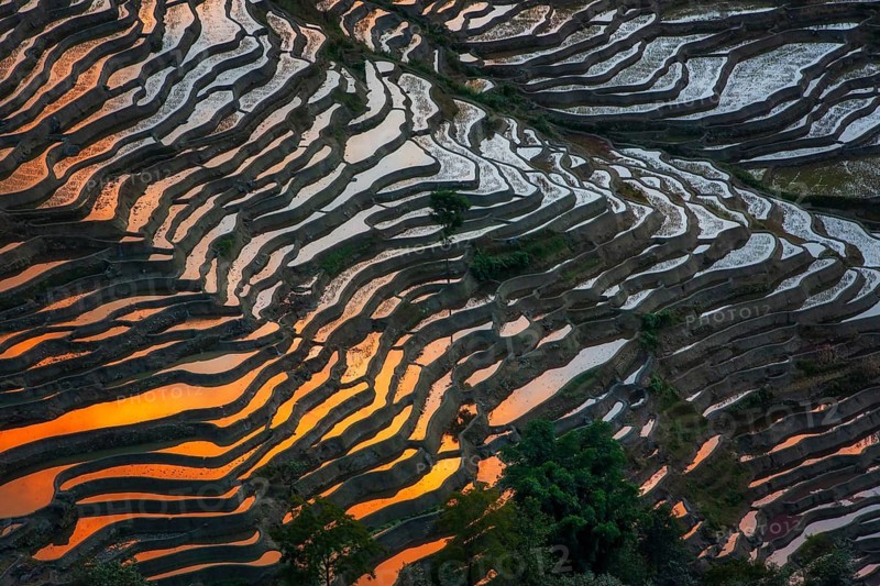 In Yuanyang County, in China's southwestern Yunnan province, the Hani rice terraces stretch across about 16, 000 hectares along the mountainous slopes of the Honghe region. Shaped over more than a thousand years and composed of thousands of terraces, they were designated a UNESCO World Heritage Site in 2013