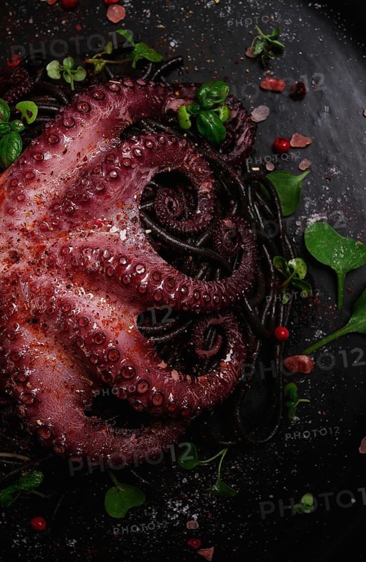 Octopus with black spaghetti, pasta, spices and herbs, top view, no people