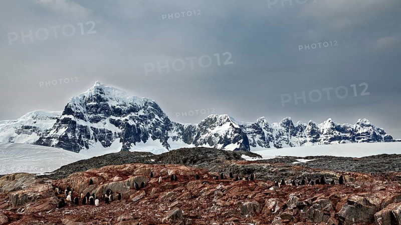 Snowy mountains over a rocky landscape with penguins below on the horizon, The coast and landscape of Antarctica