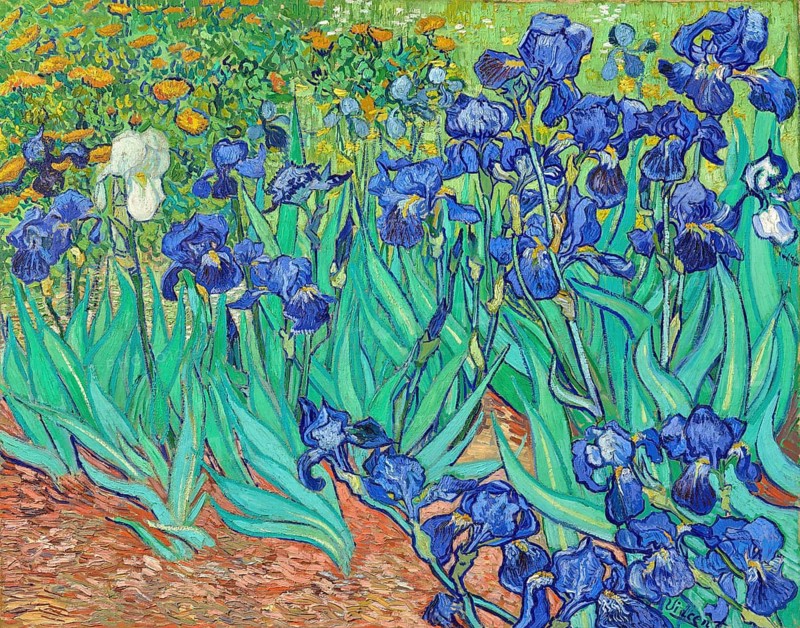 Irises (1889), Irises (1889), Painting by Vincent Willem van Gogh (born 30 March 1853 in Groot-Zundert, died 29 July 1890 in Auvers-sur-Oise), Dutch painter and draughtsman, one of the founders of modern painting, Illustration, Reproduction from a painting. Authentic, exact date of original unknown, Historical, Lively depiction of iris flowers in a blooming garden