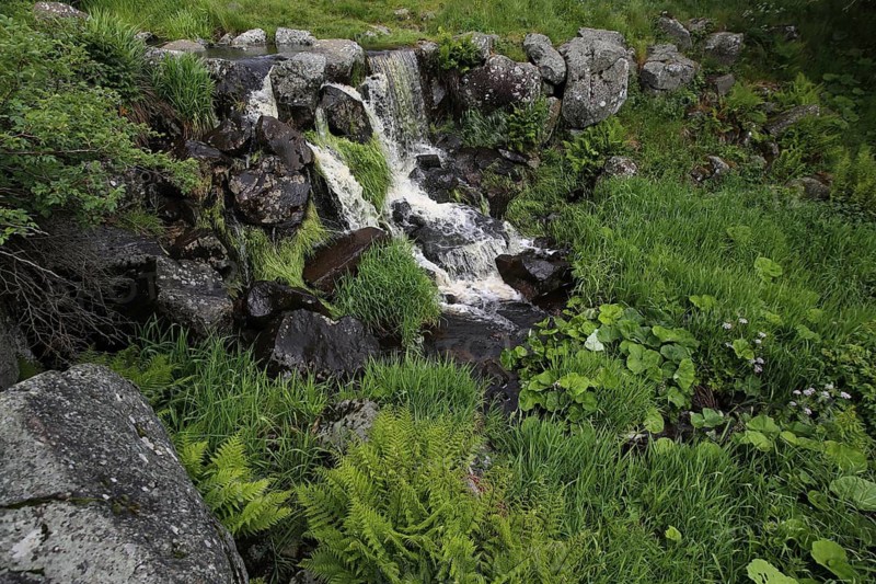 Aschelbach Falls, nature photography, UNESCO, biosphere reserve, Lange Rhön, Bavaria, Germany