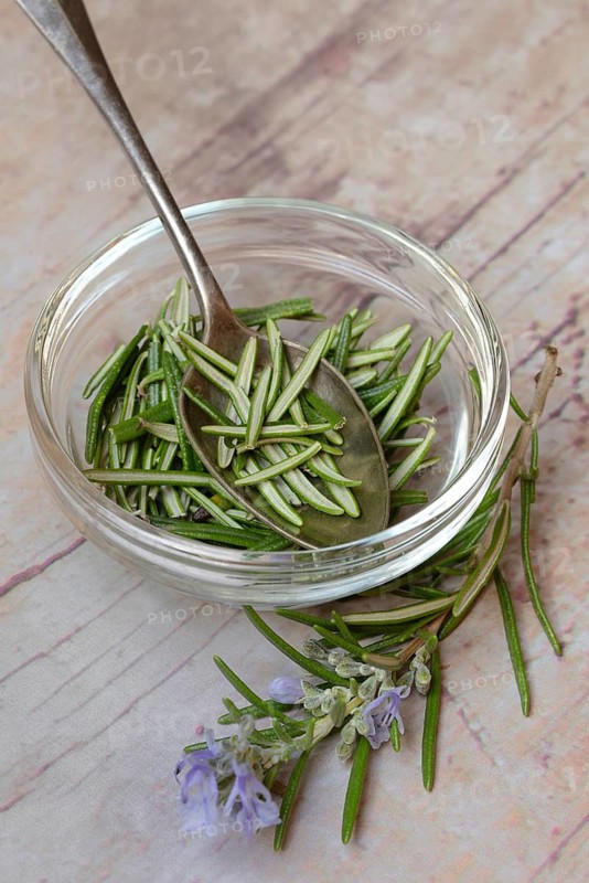 Rosemary, plucked rosemary leaves in a glass bowl and flowering sprig
