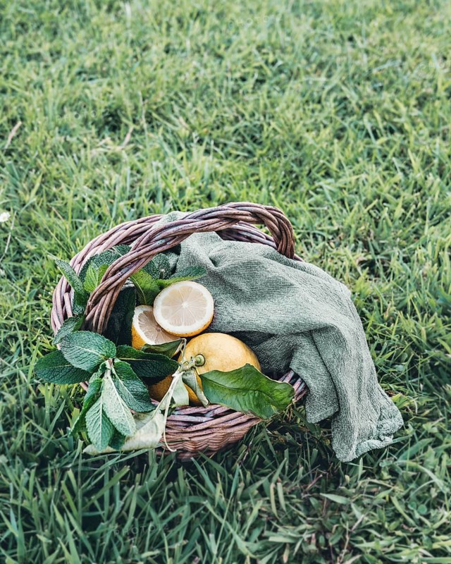 A wicker basket filled with fresh lemons sits elegantly on a bed of lush green grass. This vibrant image captures the essence of natural beauty and the freshness of ripe citrus