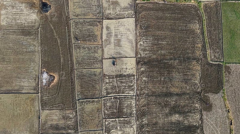 In an aerial view, a farmer ploughs a rice paddy field with a power tiller on February 16, 2026 in Mayong, India