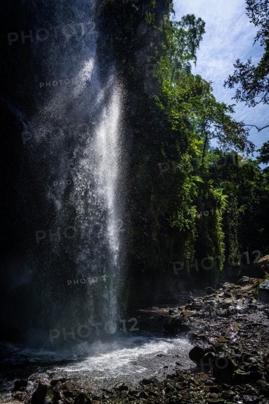 Tiu Kelep waterfall in backlight, nature, landscape, flowing, river, fresh, clear, clean, environment, rainforest, jungle, green, ecological, exotic, water, freshness, flora, botany, jungle, forest, peace, relaxation, wellness, landscape idyll, beautiful, natural spectacle, paradise, threatened, endangered, paradisiacal, hiking, trekking, tropical forest, rainy season, travel, tourism, water, tropical, tropics, Asian, natural landscape, untouched, holiday, pristine, long-distance travel, Lombok, Indonesia