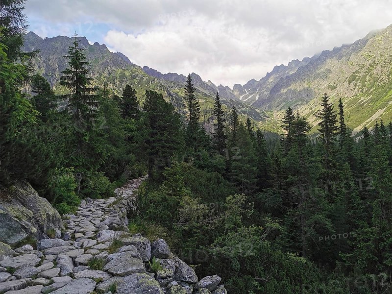 Rocky hiking trail, path through a densely wooded mountainside, with mountain panorama in the background, Rysy, High Tatras, Slovakia