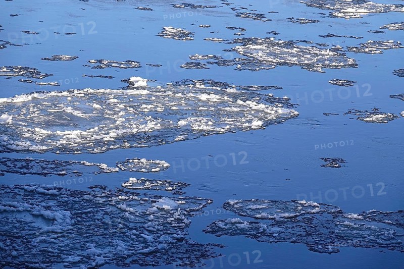 Elbe with ice floes, winter, Dresden, Saxony, Germany