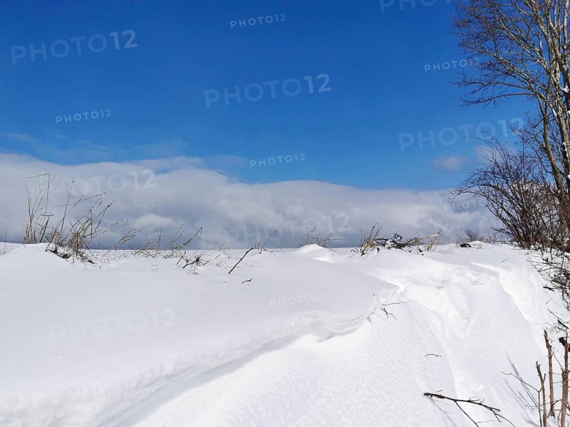 Winter landscape with snow-covered field, blue sky and visible deciduous tree, Franconian Forest nature park Park